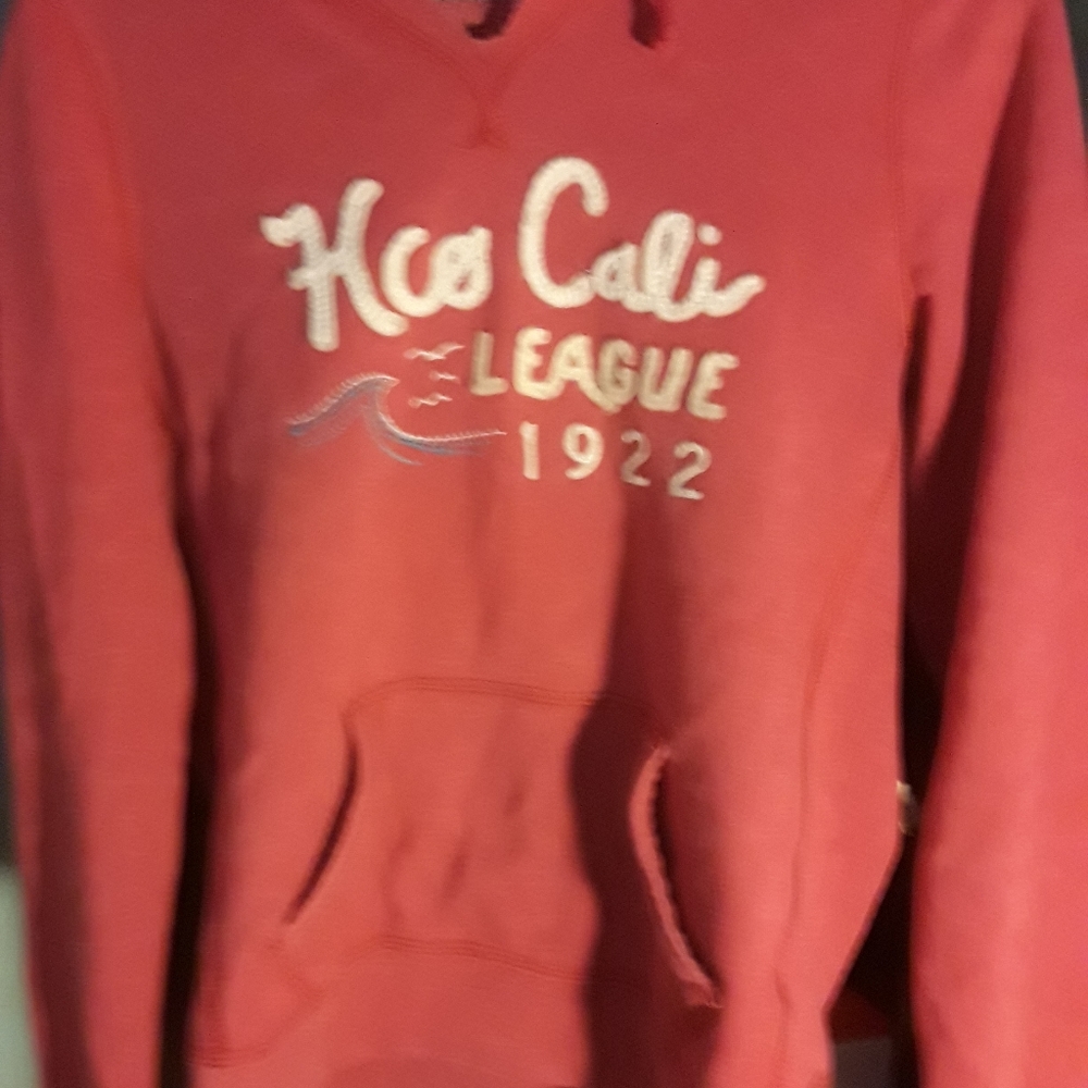 hoodie